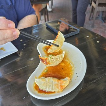 Pisces Sushi & Global Bistro - Truffled gyoza - Sushi Bars Near Me - Dunedin, Florida Pisces Sushi & Global Bistro - Truffled gyoza - Sushi Bars Near Me - Dunedin, Florida