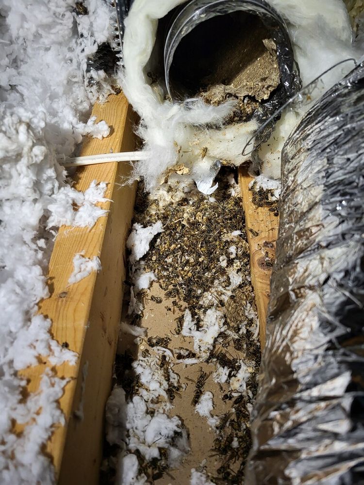 Slide of Sunshine Trade Services