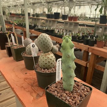 LA Succulents - Nurseries & Gardening Near Me - Lake View Terrace, California LA Succulents - Nurseries & Gardening Near Me - Lake View Terrace, California