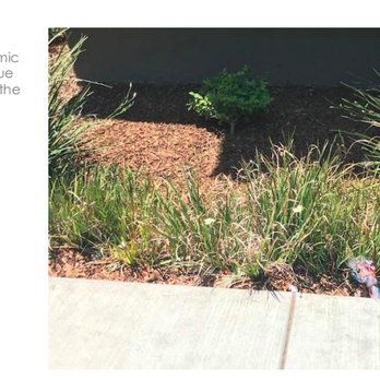 New image landscape service - This is what our property looks like after 6 years with New Image. Systematic litter/debris. - Tree Services Near Me - Birmingham, Alabama New image landscape service - This is what our property looks like after 6 years with New Image. Systematic litter/debris. - Tree Services Near Me - Birmingham, Alabama