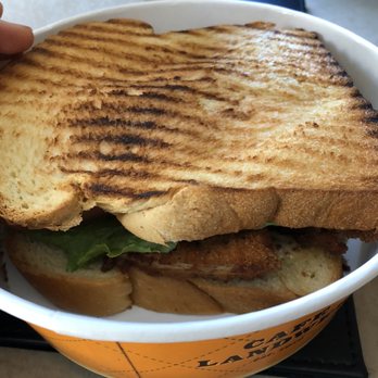 Cafe Landwer - Schnitzel Sandwich - Cafes Near Me - Brighton, Massachusetts