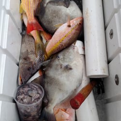 Port Saint Lucie Fishing - Great day fishing with Mark, Port St Lucie Fishing!!