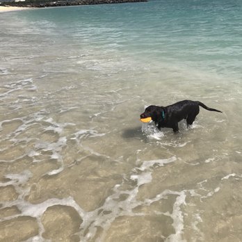 Pu'uloa Beach - Playing fetch in the surf is always fun - Beaches Near Me - Ewa Beach, Hawaii