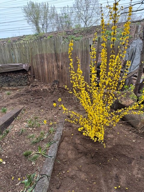 Slide of T.G.T. Stamford Home Services