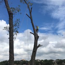 Extreme Tree Service