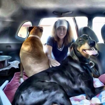 Jaymie's Pet Sitting - Pet Sitting Near Me - Bullhead City, Arizona Jaymie's Pet Sitting - Pet Sitting Near Me - Bullhead City, Arizona