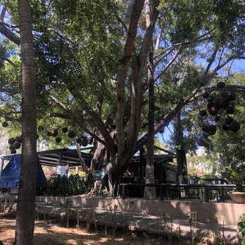 3x3 Authentic Food - Beautiful atmosphere - Breakfast & Brunch Near Me - Nayarit, NAY