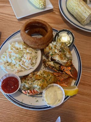 Ship Bottom Shellfish by null
