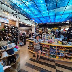 Surf Factory