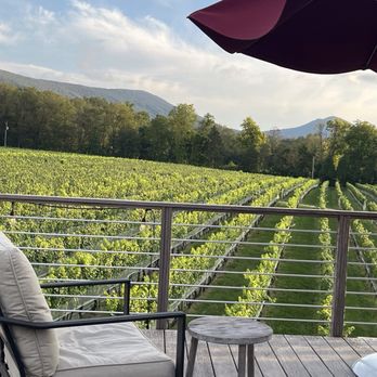 Muse Vineyards - Upper Terrace - Wine Tasting Room Near Me - Woodstock, Virginia