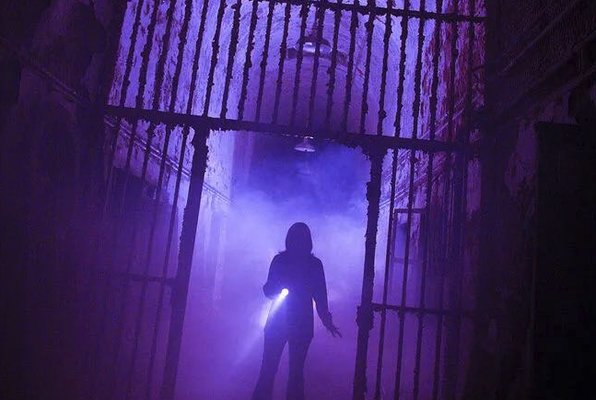 Dehns Pumpkins by null