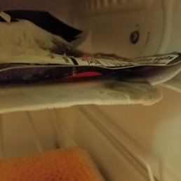 Mold and left over items in the fridge.