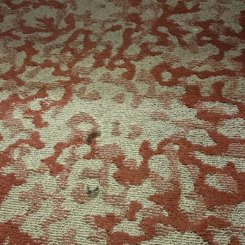 Hilton Garden Inn Bristol - Eyelashes from a standing view. - Hotels Near Me - Bristol, Virginia Hilton Garden Inn Bristol - Eyelashes from a standing view. - Hotels Near Me - Bristol, Virginia