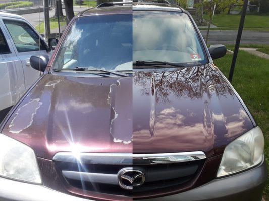 Venice Auto Body & Painting Specialists Inc by null