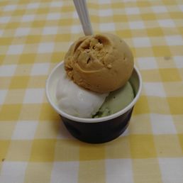 Gelato. Salted Caramel. Pistachio. Stracitella. Gelato. Salted Caramel. Pistachio. Stracitella.