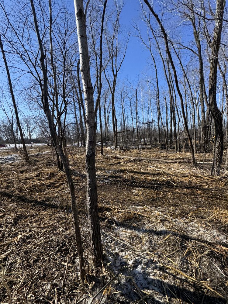 Connor And Sons - tree service in Fond du Lac, WI