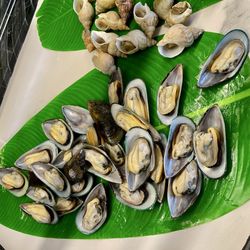 Cinq Bonheurs - Mussels. Moules.