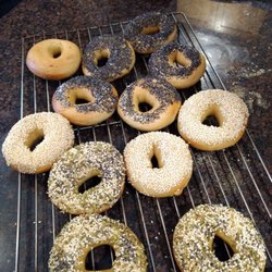 Bake Your Own Amazing Bagels - Bagels are boiled, seeded and baked! Yay!