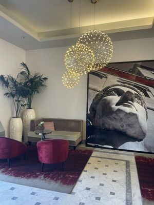 Hotel NH Collection Roma Palazzo Cinquecento by null