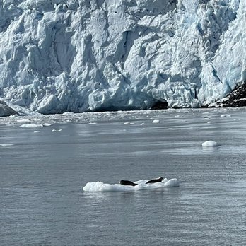 Kenai Fjords Tours - Boat Tours Near Me - Seward, Alaska