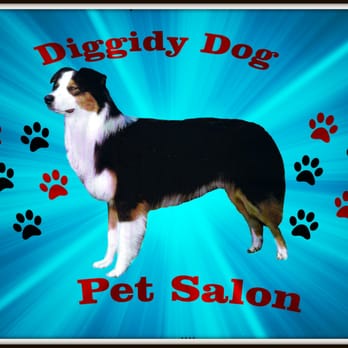 Diggidy Dog Pet Salon - Pet Groomers Near Me - The Colony, Texas Diggidy Dog Pet Salon - Pet Groomers Near Me - The Colony, Texas