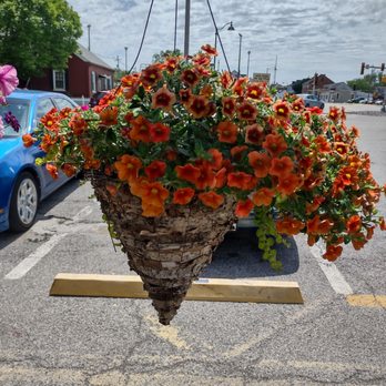 Farmers Market - a hanging basket of flowers - Fruits & Veggies Near Me - Belleville, Illinois Farmers Market - a hanging basket of flowers - Fruits & Veggies Near Me - Belleville, Illinois