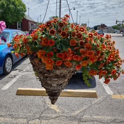 Farmers Market