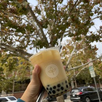 Sinceretea - Roasted Oolong Milk Tea - Bubble Tea Near Me - San Jose, California Sinceretea - Roasted Oolong Milk Tea - Bubble Tea Near Me - San Jose, California