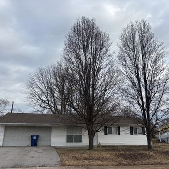 Carter J Trees - Tree Services Near Me