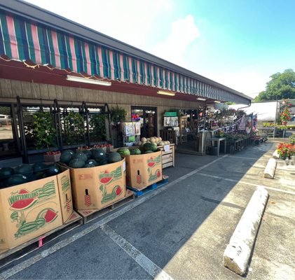 Horn of Plenty Marketplace by null