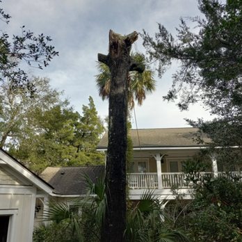 A Limb to Trim - Tree Services Near Me