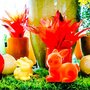 Photo of Floreal Blumen