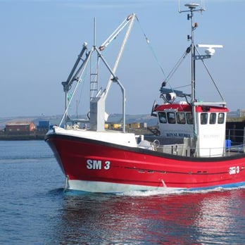 La Poissonnerie - Seafood Markets Near Me - Shoreham By Sea, WSX La Poissonnerie - Seafood Markets Near Me - Shoreham By Sea, WSX