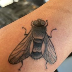 Mission Tattoo - A fly tattoo because I'm the shit