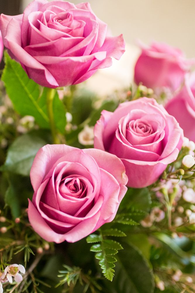 Best Florist Denver Co at Kendra Flowers blog