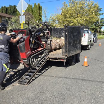 Pacific Arboriculture - Removed all debris - Tree Services Near Me Pacific Arboriculture - Removed all debris - Tree Services Near Me