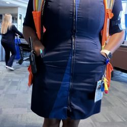 Alaska Airlines' Lavessa Morrison appeared unprofessional in both demeanor and presentation