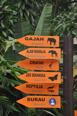 Zoo Negara Malaysia by null