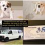 Photo of Amg Carpet Cleaning Services