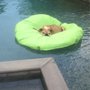 Photo of Innovative Pools