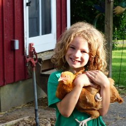Joliet Montessori School - Students learn teamwork on a real farm at The Country Experience, a field trip we offer our lower elementary students.