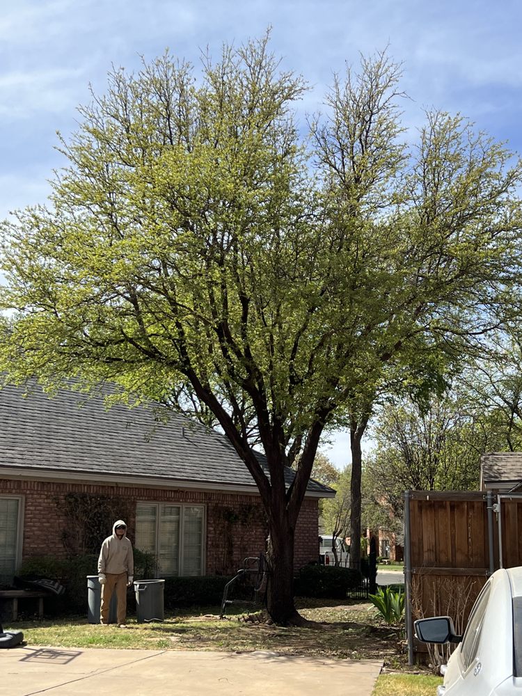 Slide of ACME Exteriors