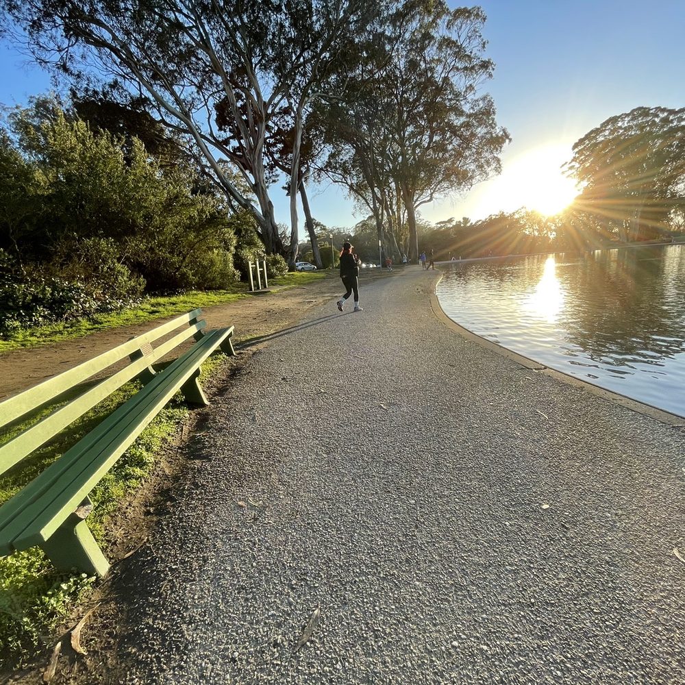 Spreckels Lake - Lakes Near Me - San Francisco, California Spreckels Lake - Lakes Near Me - San Francisco, California