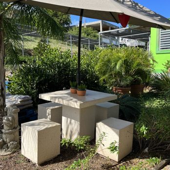 D's Garden - Nice seating area. - Fruits & Veggies Near Me - Culebra, Puerto Rico D's Garden - Nice seating area. - Fruits & Veggies Near Me - Culebra, Puerto Rico