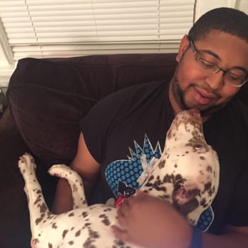 ASPCA Adoption Center - All shelter dogs want and need is some love! - Animal Shelters Near Me - New York, New York ASPCA Adoption Center - All shelter dogs want and need is some love! - Animal Shelters Near Me - New York, New York