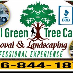 All Green Tree Care