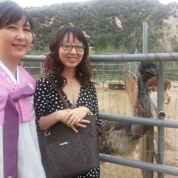 Reptacular Animals - With an emu kind of ostrich bird - Party & Event Planning Near Me - Sun Valley, California Reptacular Animals - With an emu kind of ostrich bird - Party & Event Planning Near Me - Sun Valley, California