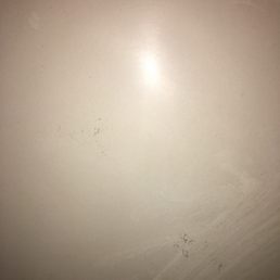 Gross man oh wait & first on the wall of she shower