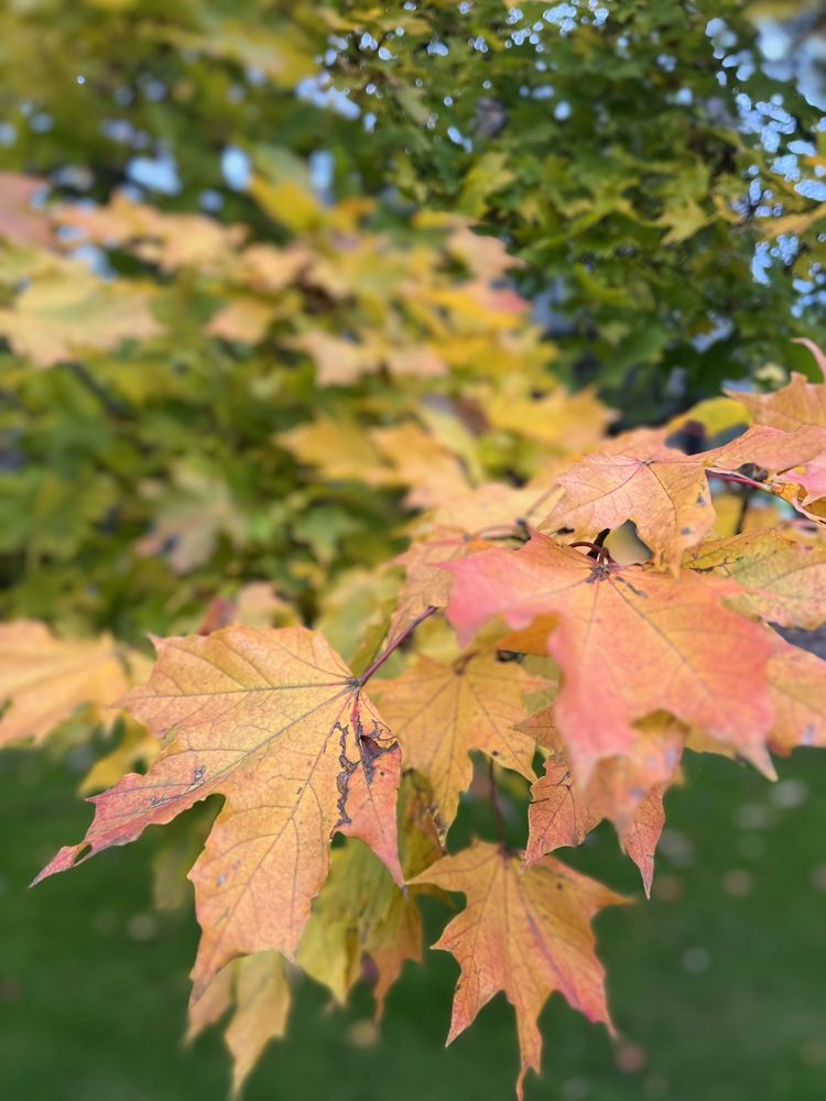 Social spots from Walton Woods Park