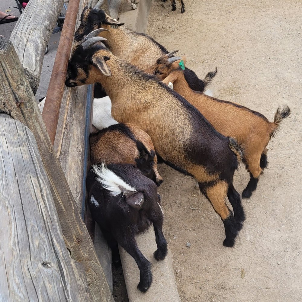 Grant's Farm - Attraction Farms Near Me - St. Louis, Missouri